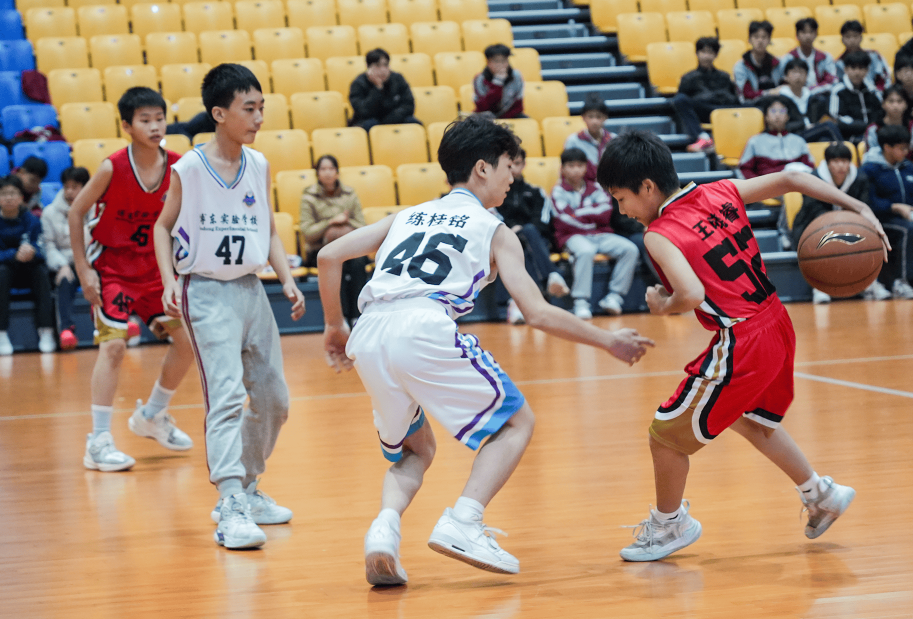 包含国内外篮球专家联合研讨中国青少年篮球行业未来发展的词条