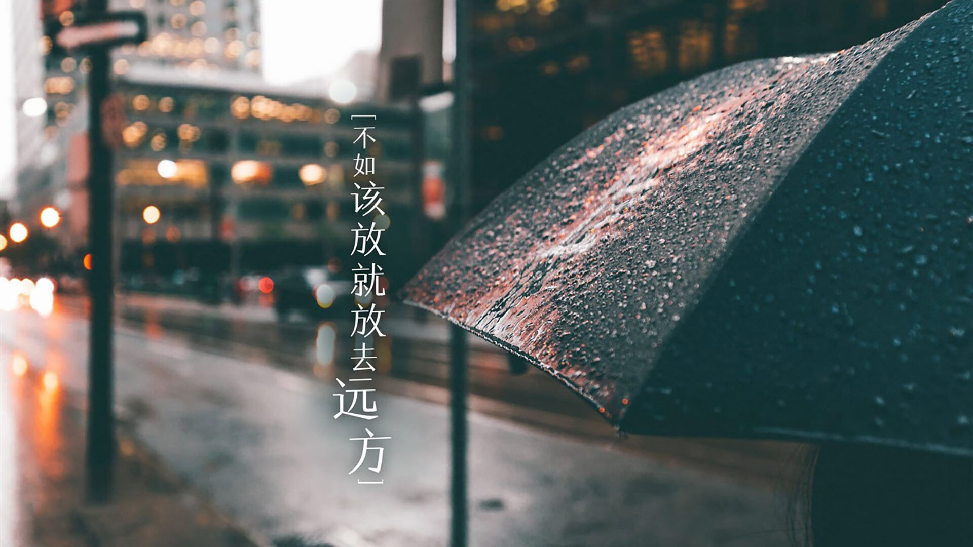 退役球员的精彩生活：球场之外的无限可能，退役篮球球员