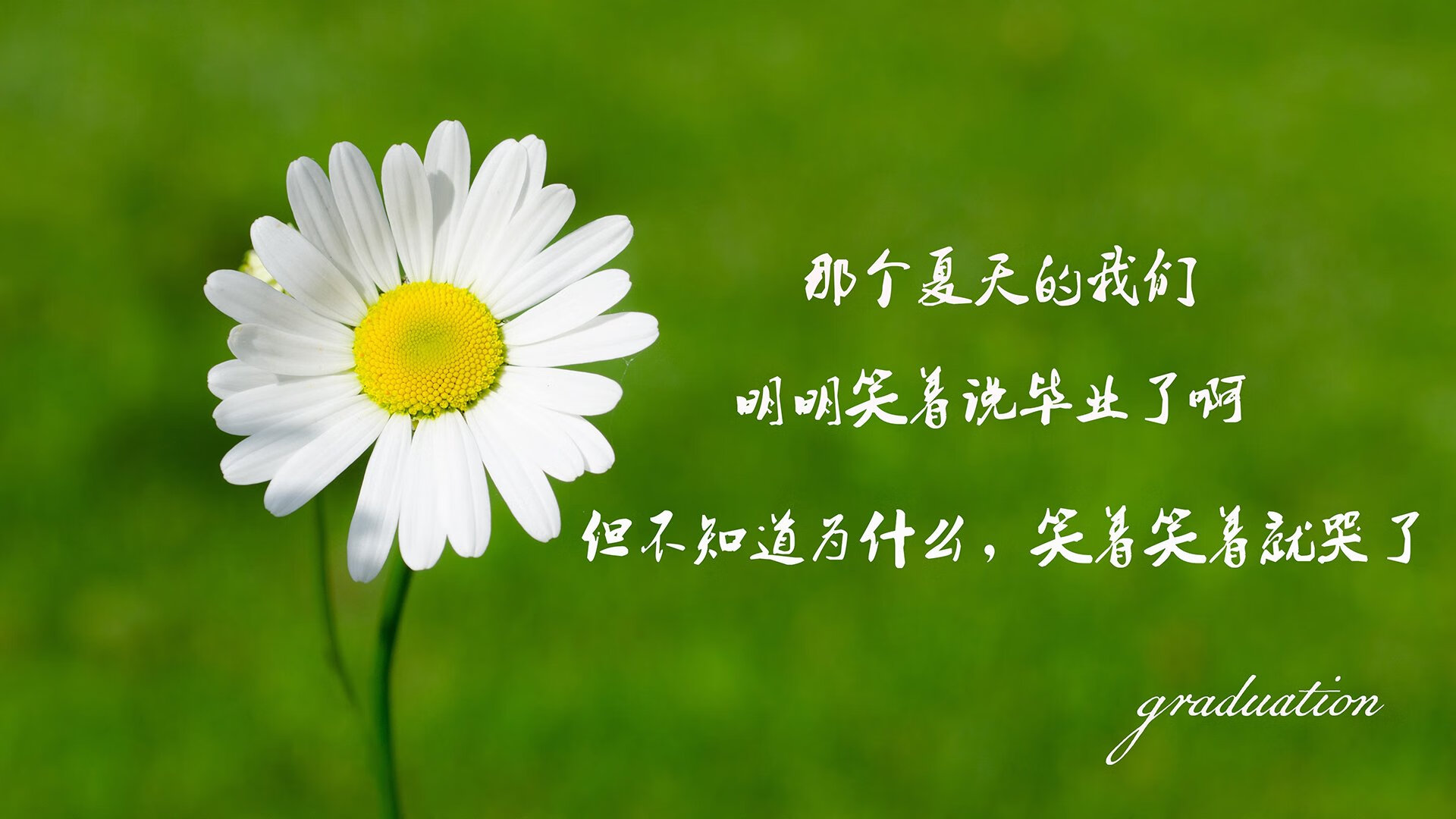 掘金高效进攻再下一城，掘金mpj