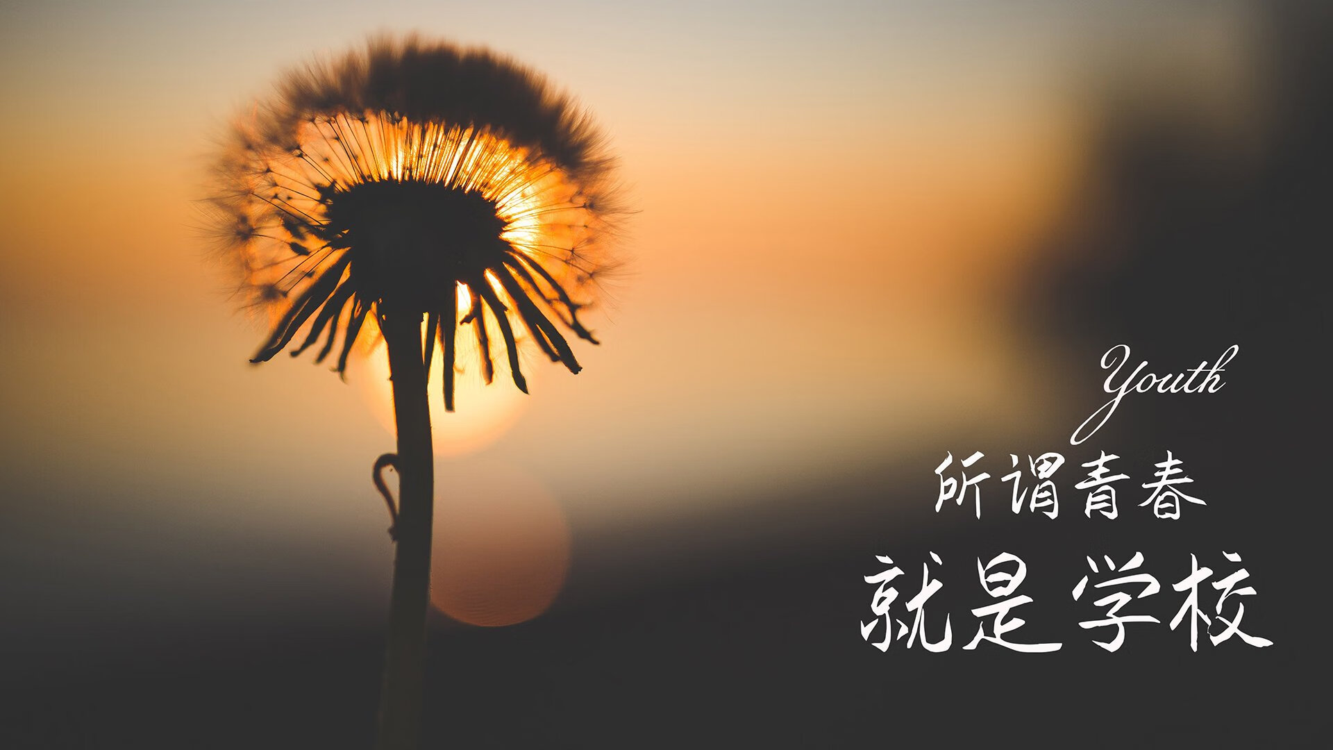 黑山胜摩尔多瓦，欧洲国家联赛胜利可期，黑山对挪威比赛预测
