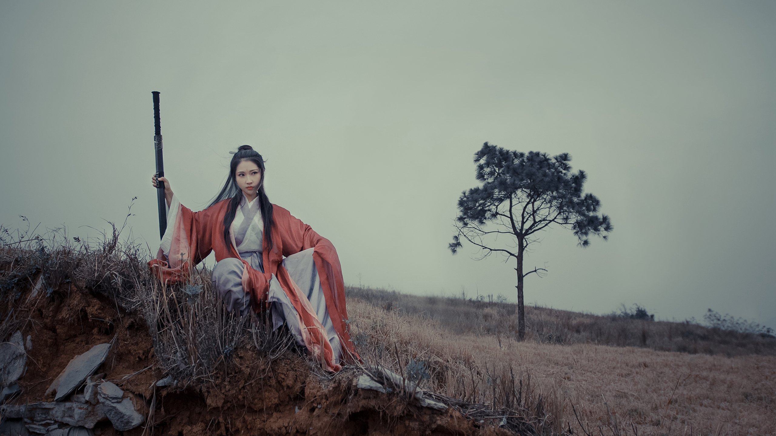 赛季战绩分析：哪些球队成为最大黑马？，赛季战绩分析_哪些球队成为最大黑马球员