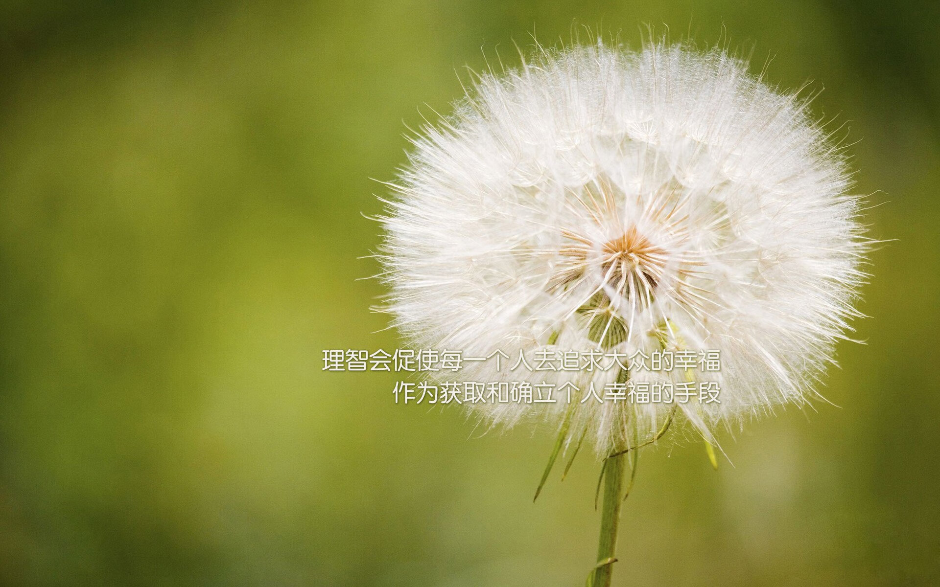 马拉松赛事结合夜跑元素提升参与体验，半夜跑马拉松